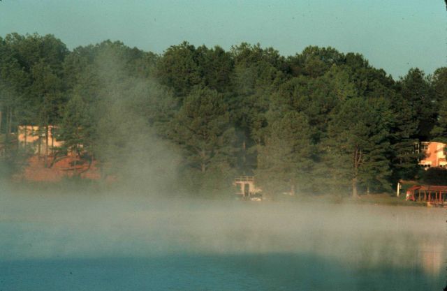 Early morning lake fog Picture