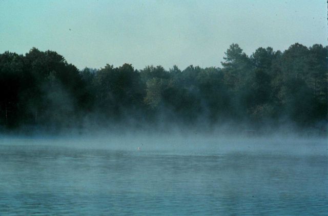 Early morning lake fog. Picture