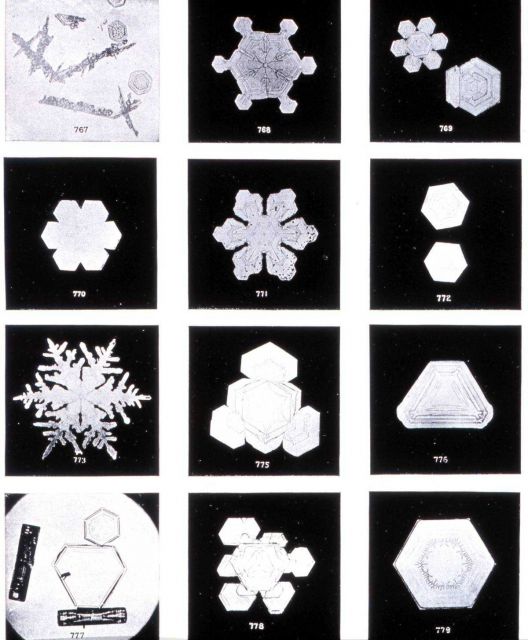 Plate IX of 