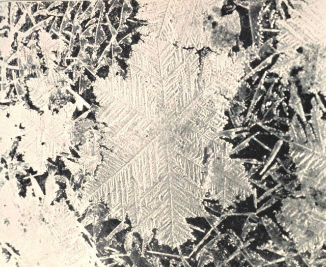 Ice crystals of unusual size Picture
