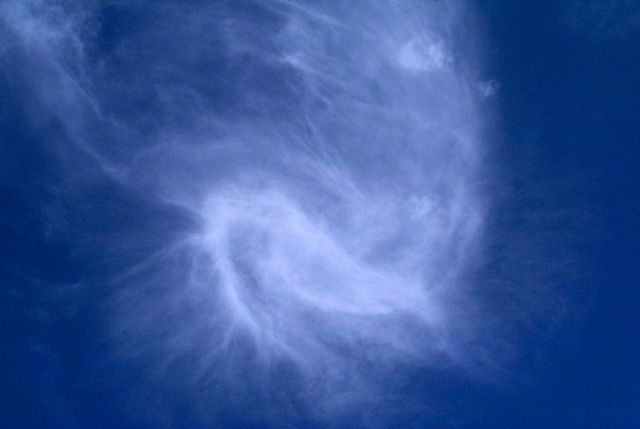 Cirrus. Picture