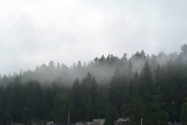 Rain at Gig Harbor. Picture