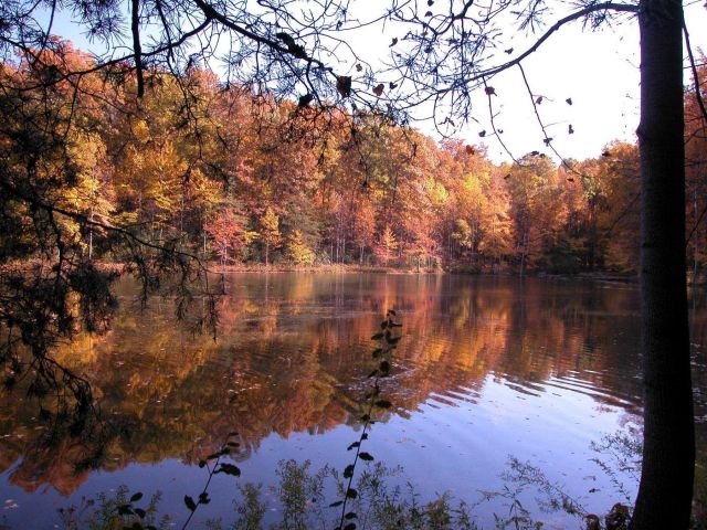 Fall colors reflecting in Clopper Lake. Picture