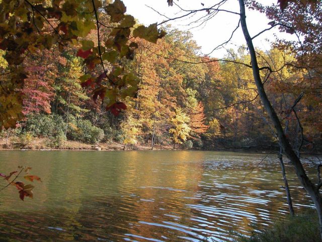 Fall colors on a quiet cove on Clopper Lake. Picture