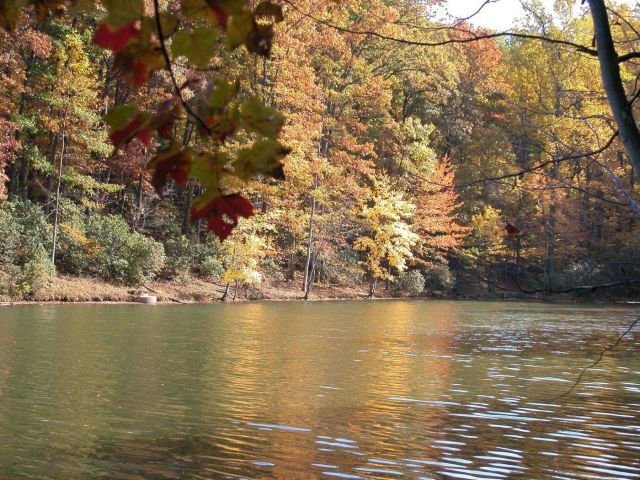 Fall colors on a quiet cove on Clopper Lake. Picture