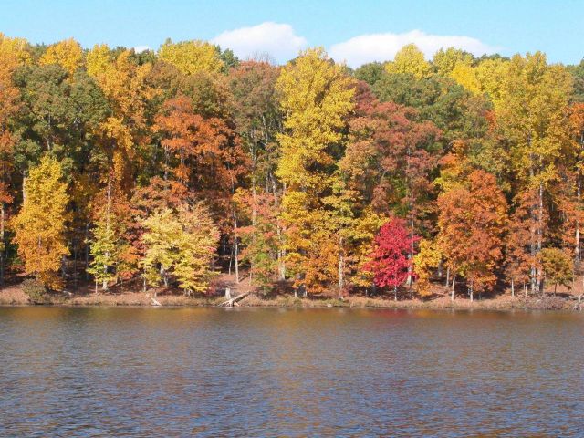 Reds and yellows and oranges and greens on the shores of Clopper Lake. Picture