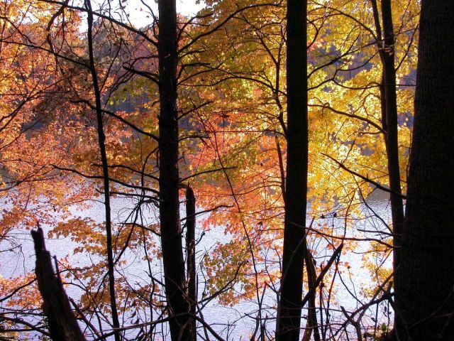 Clopper Lake as seen through autumn colors. Picture