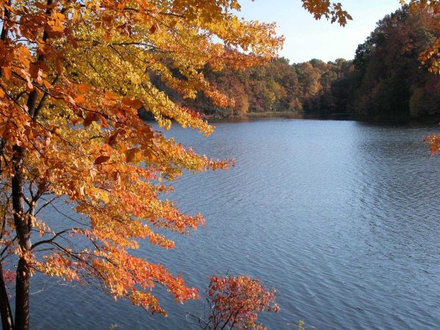 Autumn colors on Clopper Lake. Picture