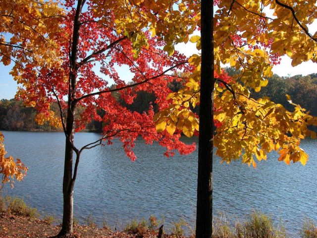 Autumn colors on Clopper Lake. Picture