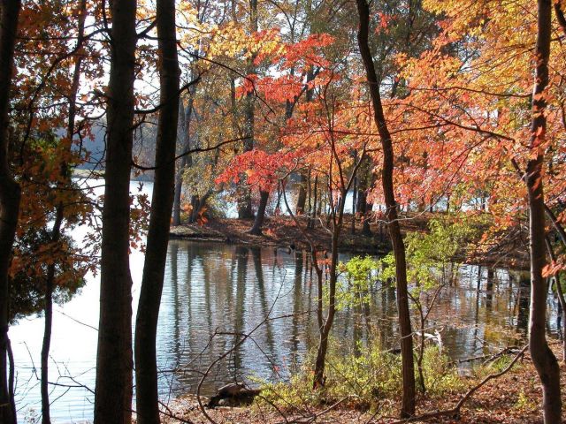 A quiet cove on Clopper Lake on an autumn afternoon. Picture