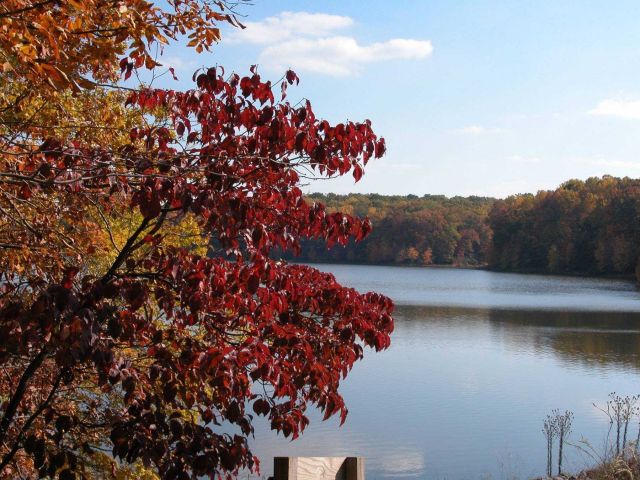 A fall afternoon on Clopper Lake. Picture