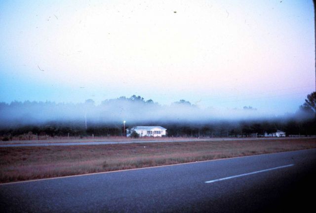 Early morning radiation fog. Picture