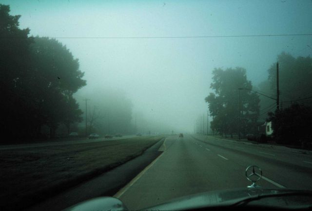 Early morning radiation fog. Picture