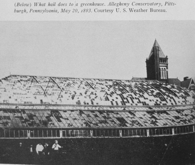 Remains of a greenhouse destroyed by a hailstorm at the Allegheny Conservatory Picture