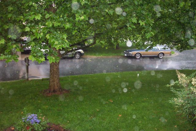 Rain drops captured falling during a spring thundershower. Picture