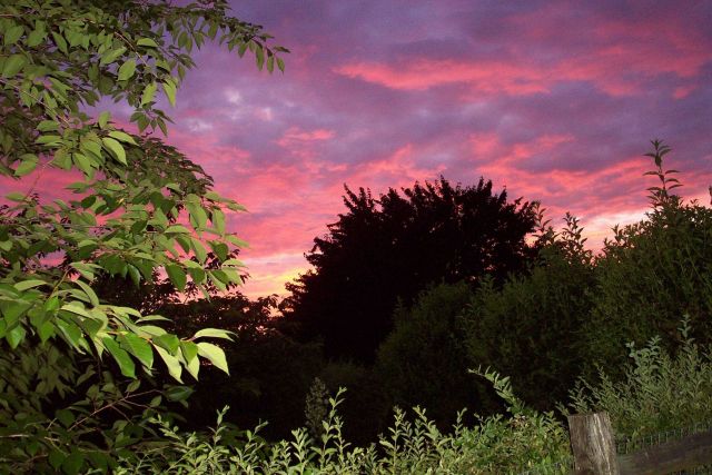 A fiery spring sunset. Picture