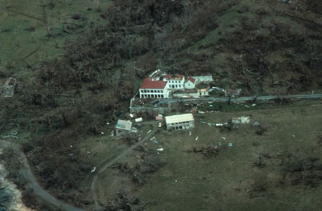 Complete devastation of trees and damage to large house or hotel Picture