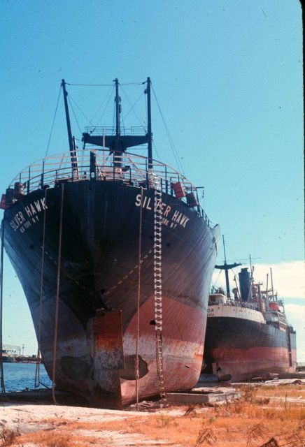The aftermath of Hurricane Camille Picture