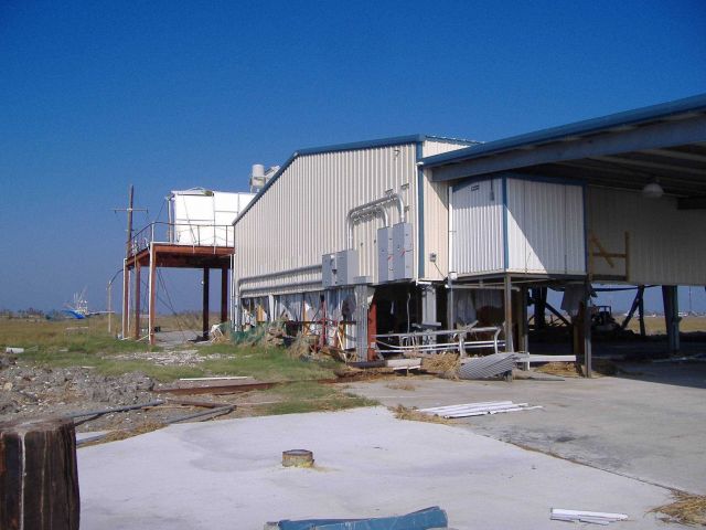 Ice plant damage. Picture