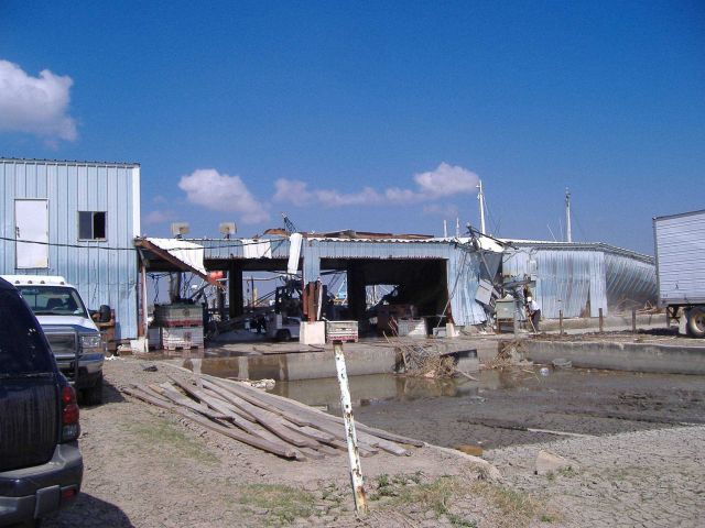 Damage to fish processing and preserving infrastructure. Picture