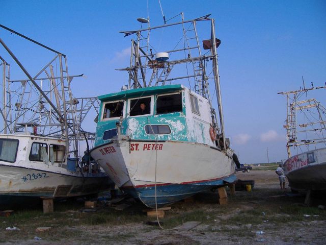 A Vietnamese shrimper peers out from his boat which is being refurbished with help of a boat lift donated by Valdez, Alaska. Picture