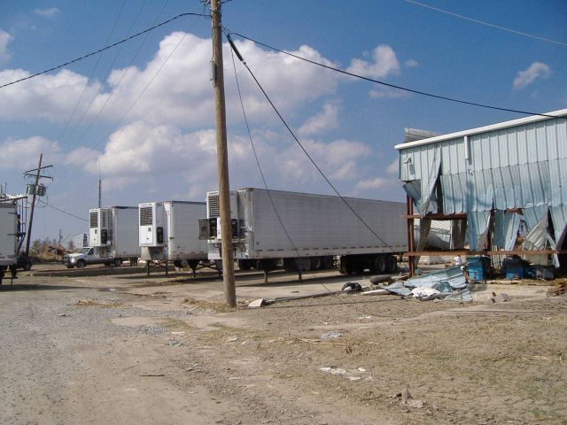 Refrigerator vans helping victims of Katrina Picture