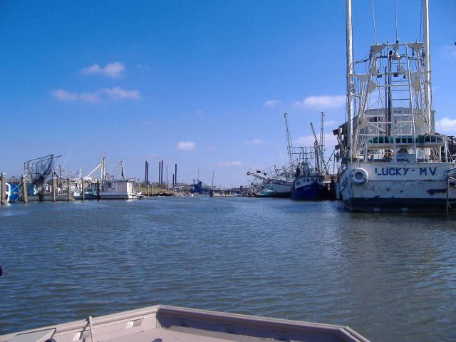 The aftermath of Katrina Picture