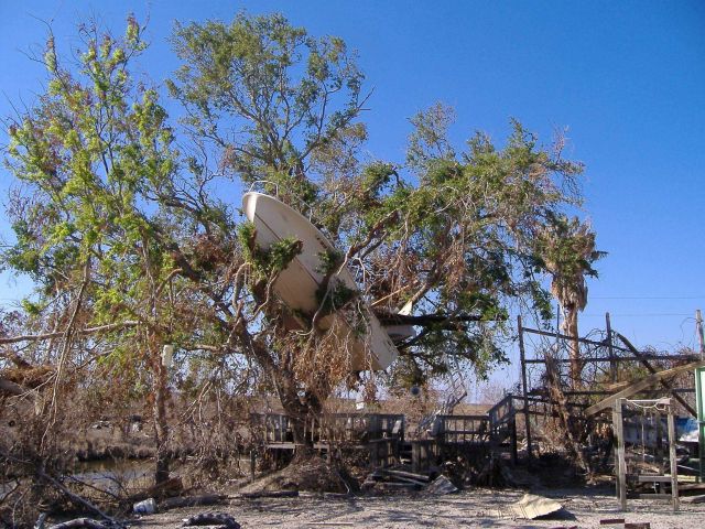 The aftermath of Katrina Picture