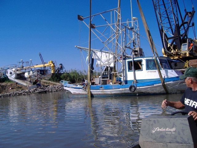 The aftermath of Katrina Picture