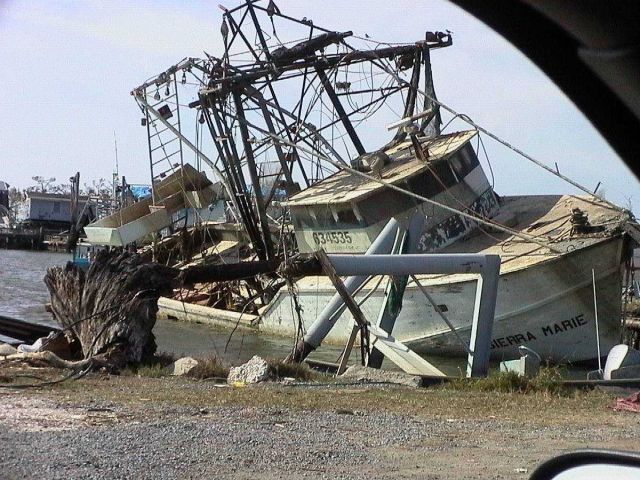 The aftermath of Katrina Picture