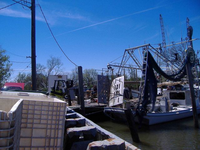 The aftermath of Katrina Picture