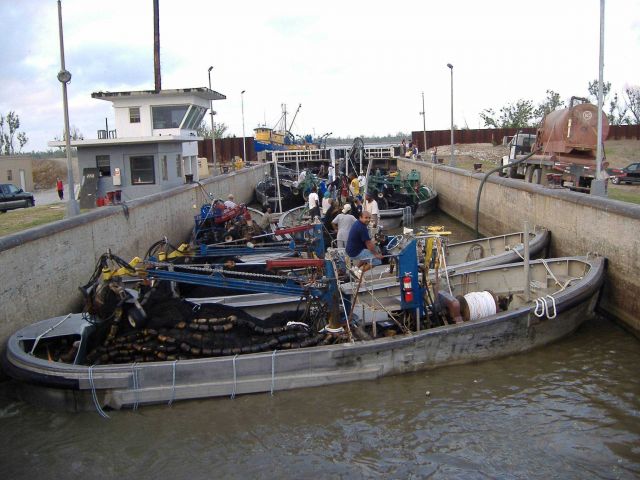 The aftermath of Katrina Picture