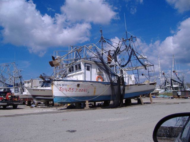 The aftermath of Katrina Picture