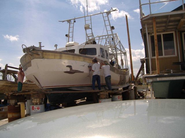 The aftermath of Katrina Picture
