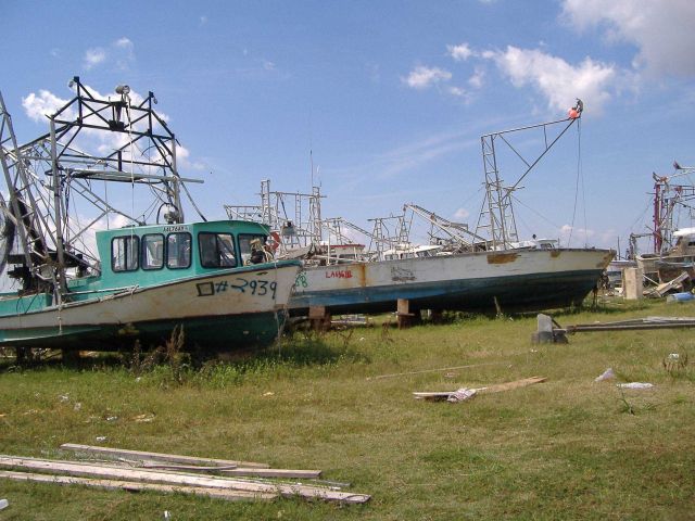 The aftermath of Katrina Picture