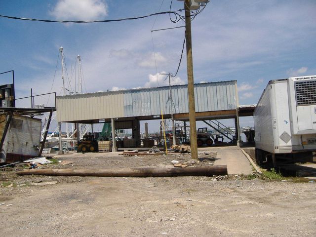 The aftermath of Katrina Picture
