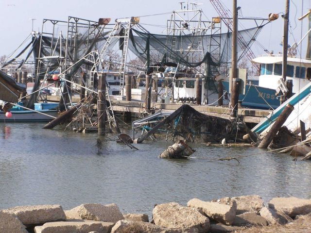 The aftermath of Katrina Picture