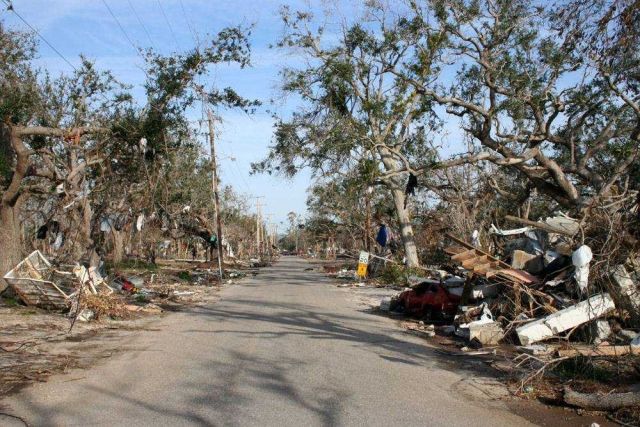 Following clearing of road, it could still be difficult to orient oneself in a devastated landscape Picture