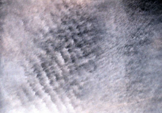 Altocumulus undulatus Picture