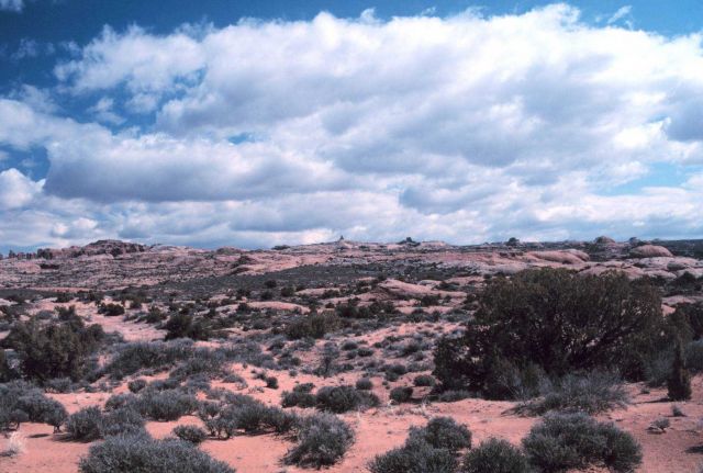 Colorado Plateau cumulus. Picture