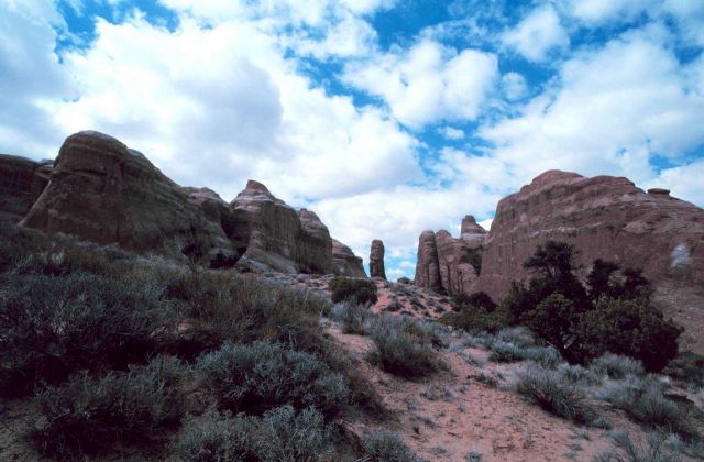 Colorado Plateau cumulus. Picture