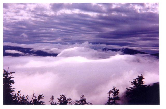 Valley fog below, clouds above. Picture