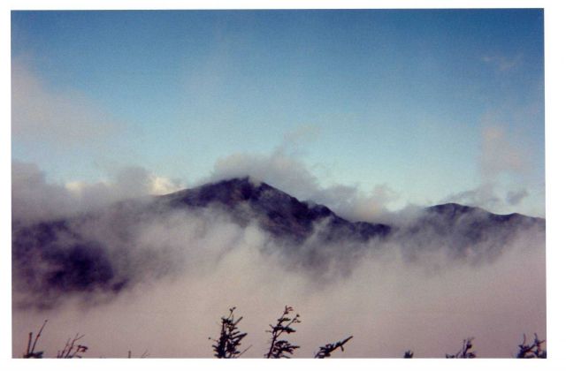 Fog shrouding the White Mountains. Picture