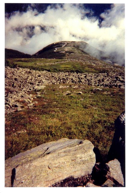 Looking to the summit of Mount Washington Picture