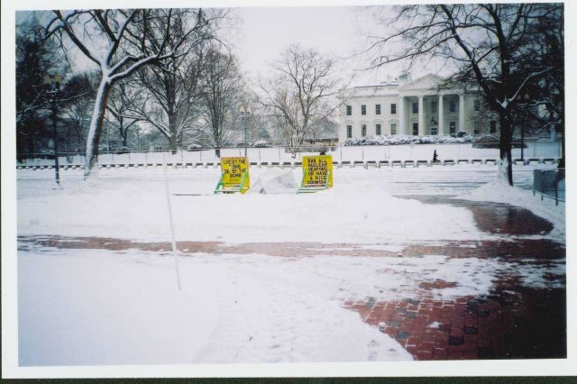 The White House draped in newly fallen snow and a couple of protest signs. Picture