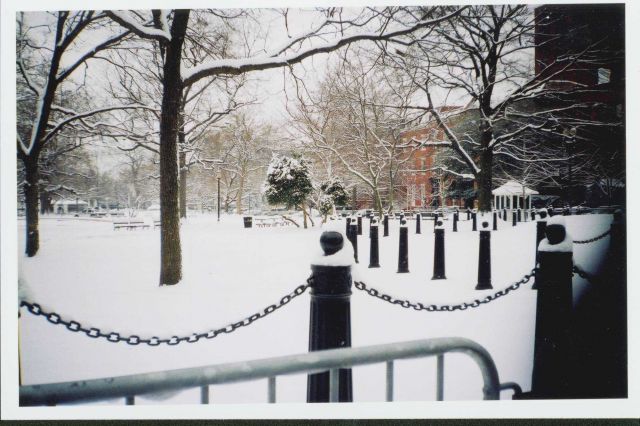 A Washington, D.C Picture