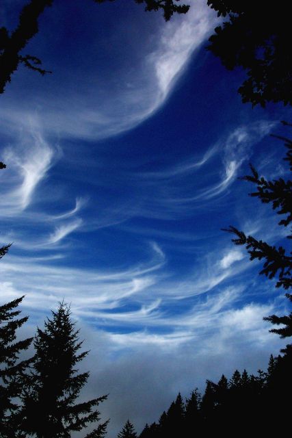 Cirrus clouds with fog beginning to roll in over the Coast Range. Picture
