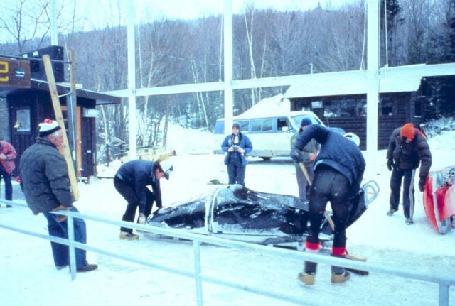 Lake Placid Winter Olympics. Picture