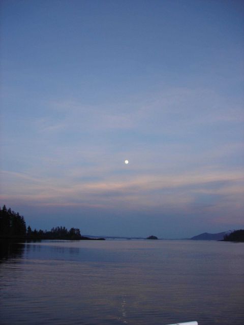 Moonrise. Picture