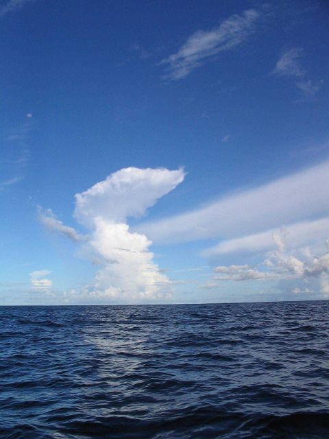 Cloud shapes Picture